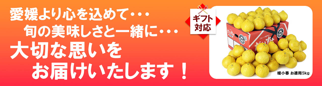 愛媛県産　媛小春（ひめこはる）