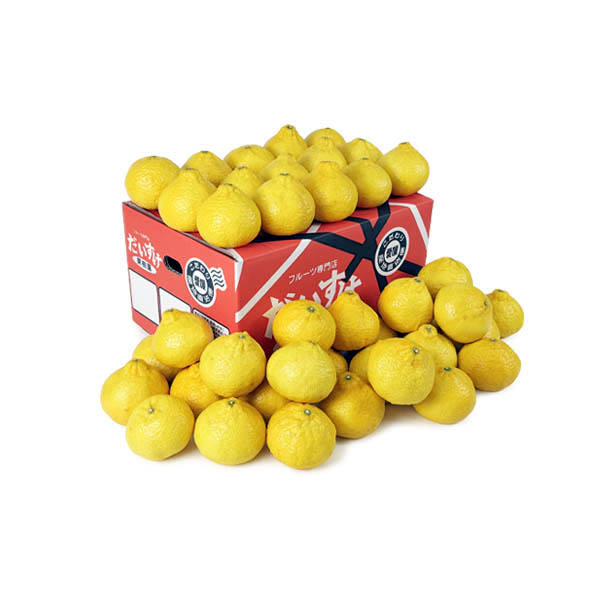 媛小春 キズキズ君5ｋｇ