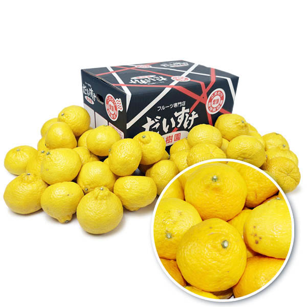 媛小春 キズキズ君5ｋｇ