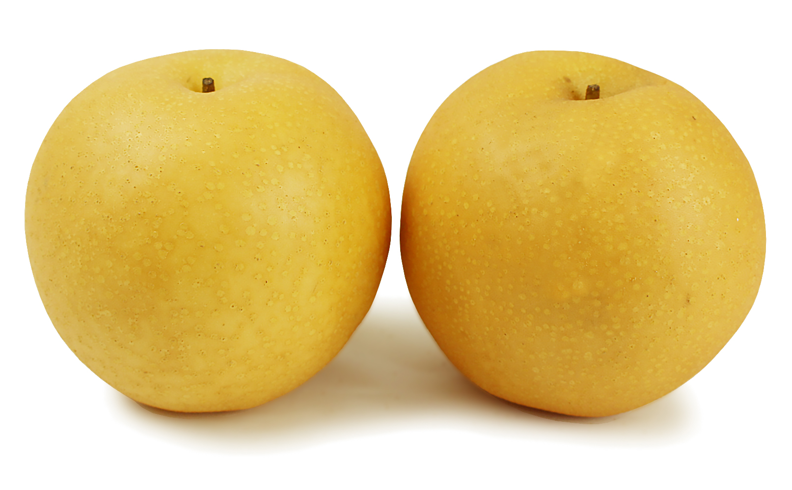 愛媛県産 豊水梨（ほうすいなし）