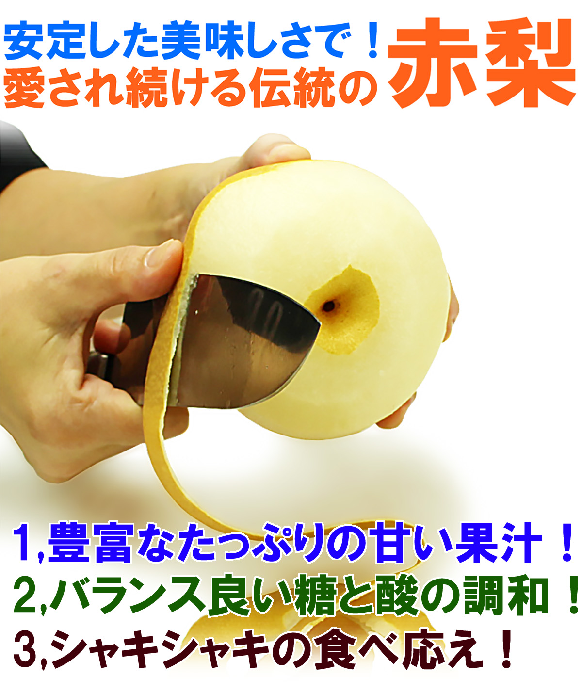 愛媛県産 豊水梨（ほうすいなし）