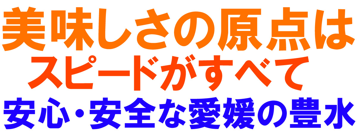 愛媛県産 豊水梨（ほうすいなし）