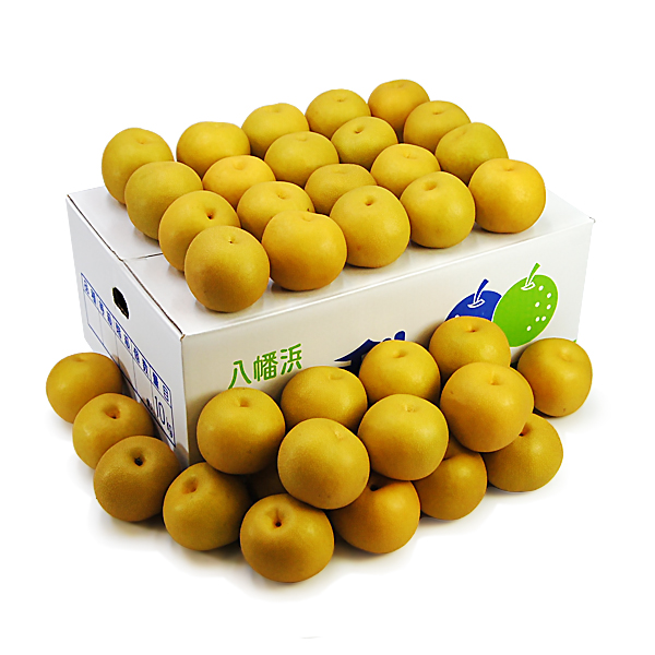 豊水梨（ほうすいなし）こつぶ君10ｋｇ