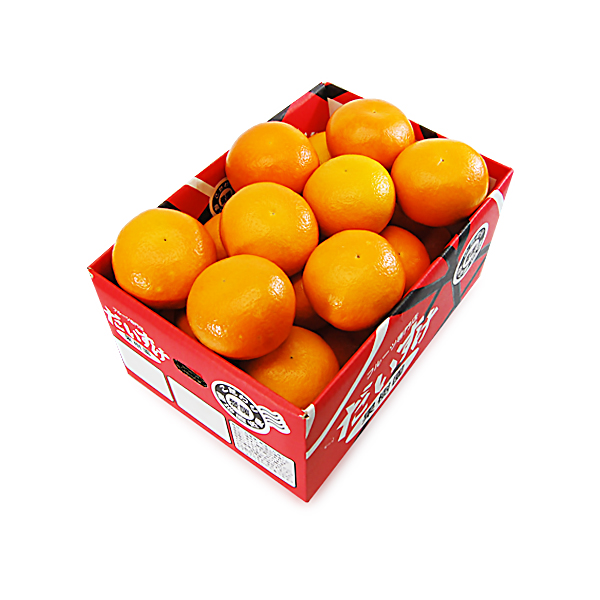 みやうちいよかん ギフト用5ｋｇ