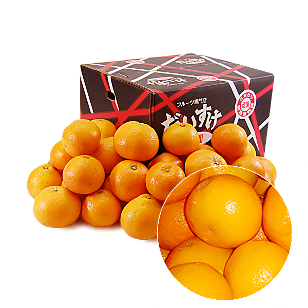 みやうちいよかん キズキズ君10ｋｇ