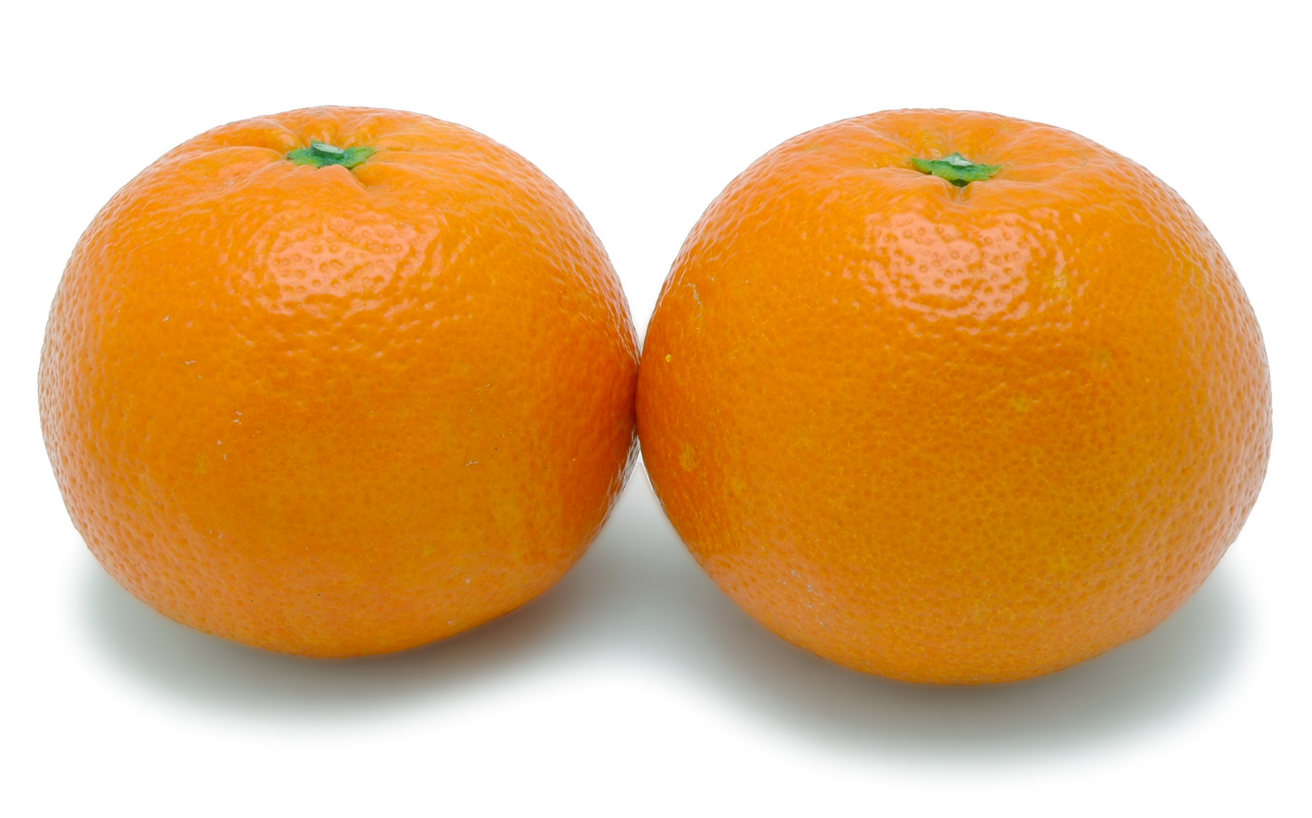 愛媛県産 みやうちいよかん