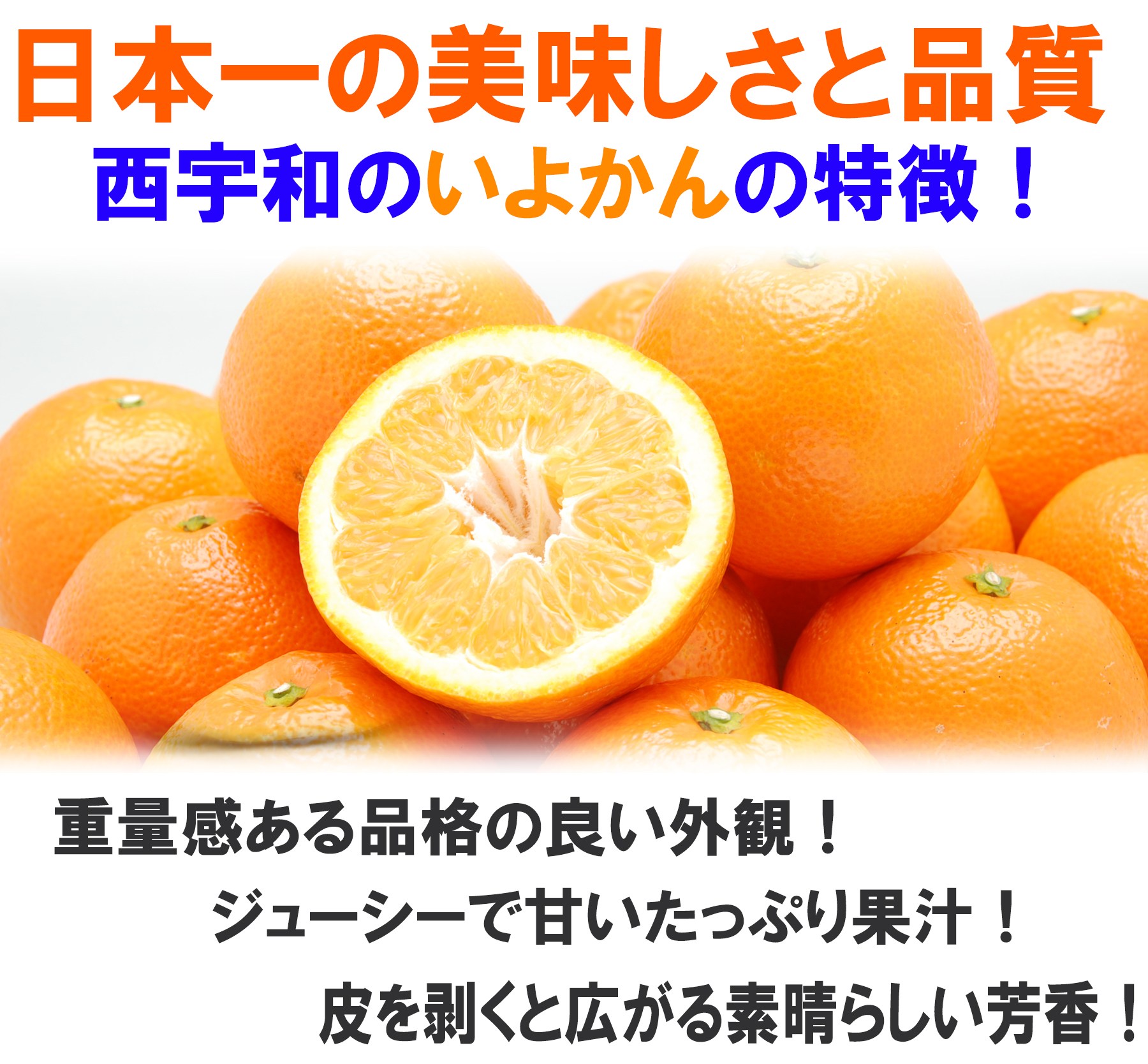愛媛県産 みやうちいよかん