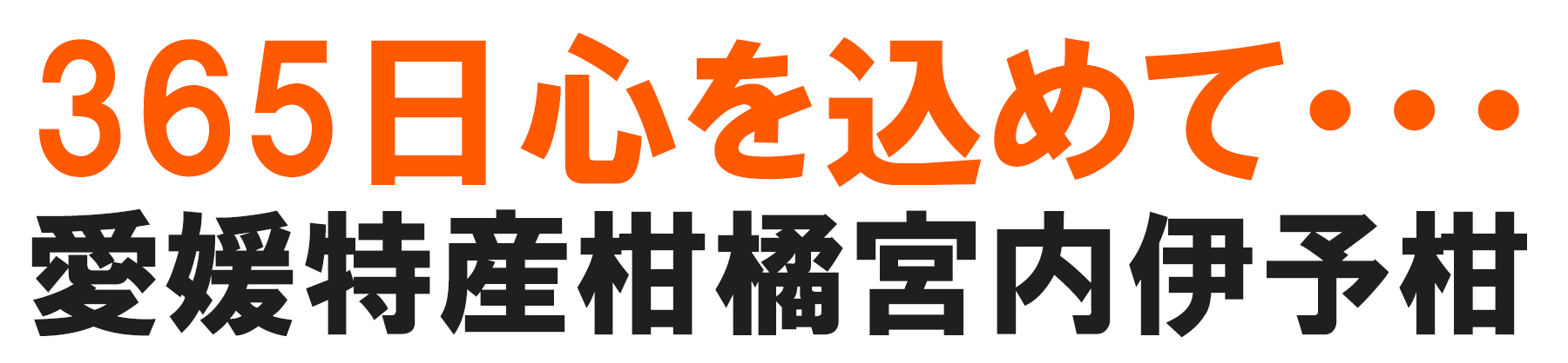 愛媛県産 みやうちいよかん
