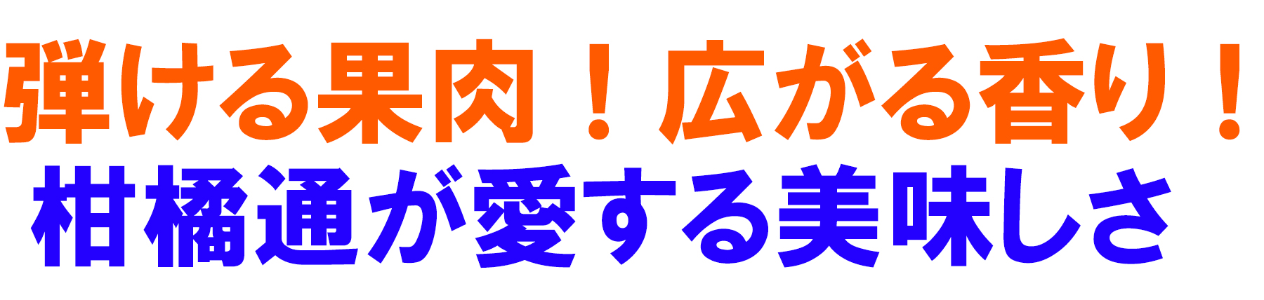 愛媛県産 みやうちいよかん