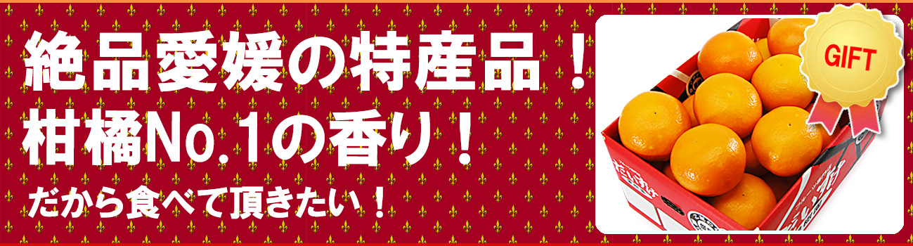 愛媛県産 みやうちいよかん