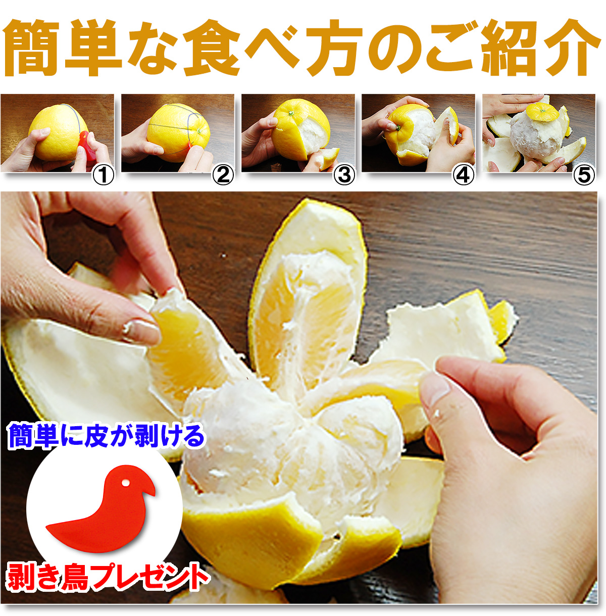 愛媛県産 ジューシーオレンジ・ジューシーフルーツ・愛南ゴールド・美生柑（みしょうかん）・宇和ゴールド・愛南ゴールド・灘オレンジ