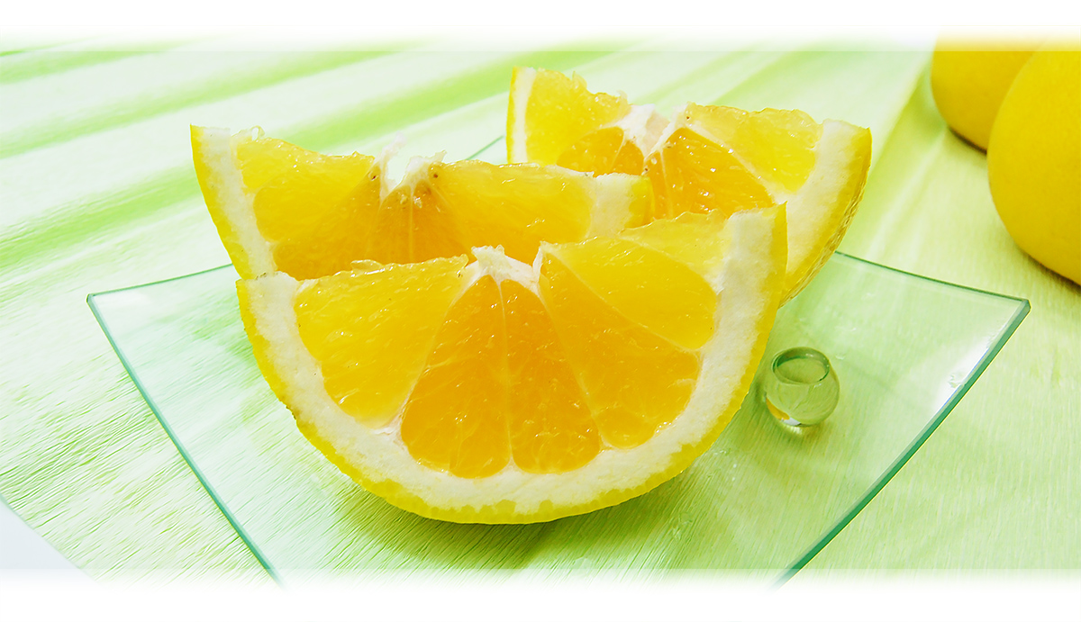 愛媛県産 ジューシーオレンジ・ジューシーフルーツ・愛南ゴールド・美生柑（みしょうかん）・宇和ゴールド・愛南ゴールド・灘オレンジ