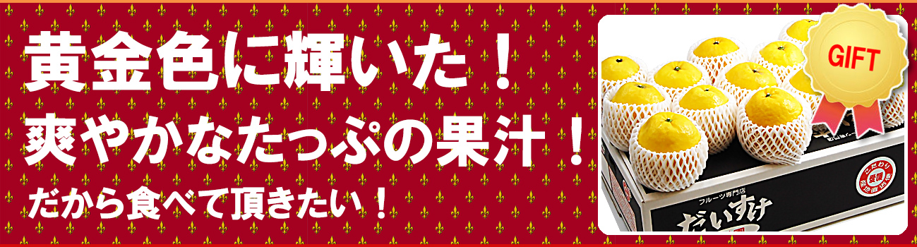 愛媛県産 ジューシーオレンジ・ジューシーフルーツ・愛南ゴールド・美生柑（みしょうかん）・宇和ゴールド・愛南ゴールド・灘オレンジ
