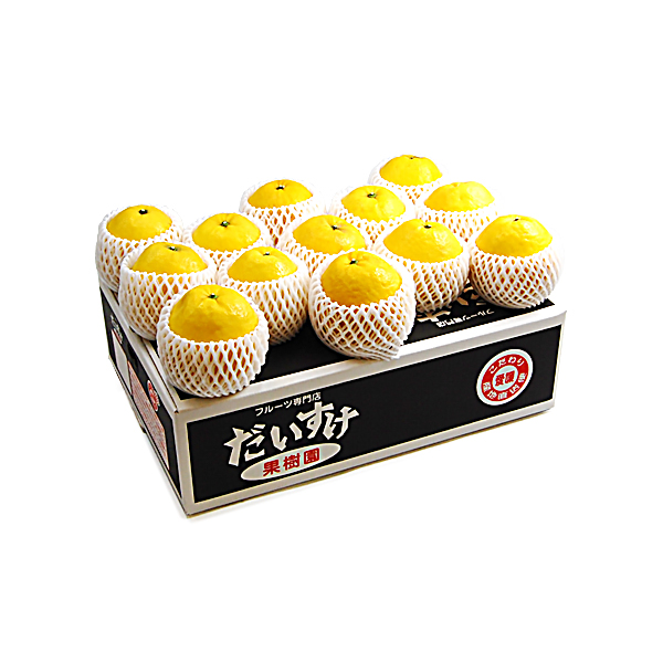 ジューシーオレンジ ギフト用5ｋｇ