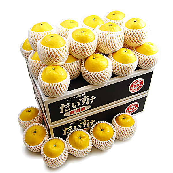 ジューシーオレンジ ギフト用10ｋｇ