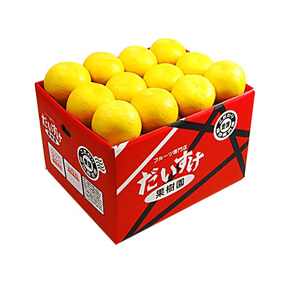 ジューシーオレンジ お得用510ｋｇ