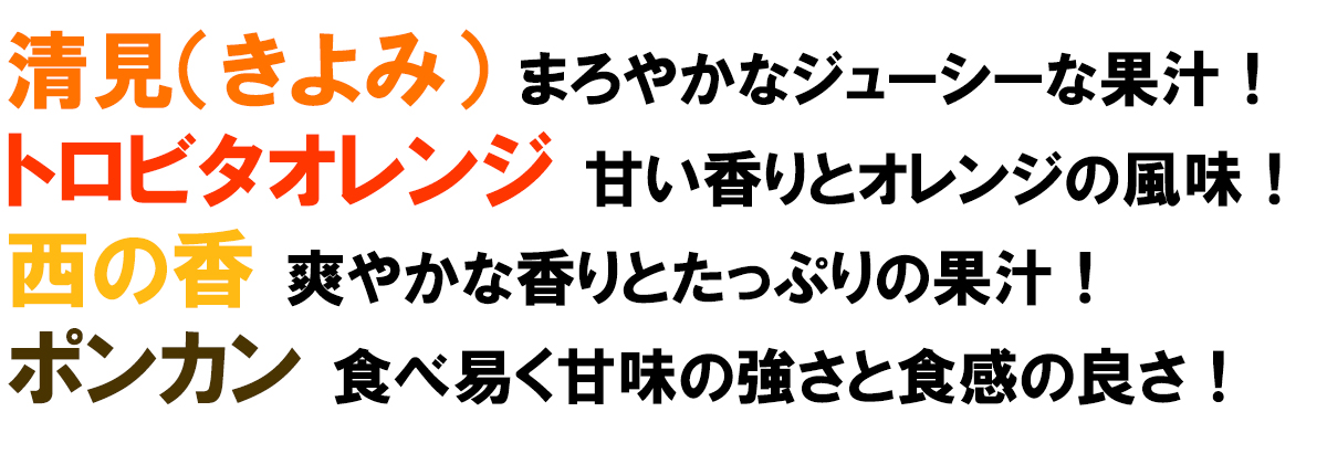 愛媛県産 甘平（かんぺい）