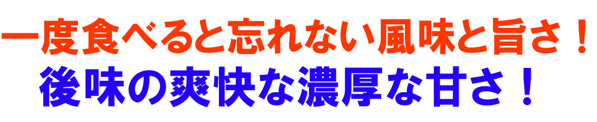 愛媛県産 甘平（かんぺい）