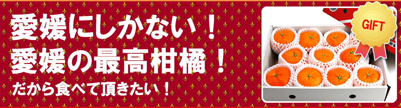 愛媛県産 甘平（かんぺい）
