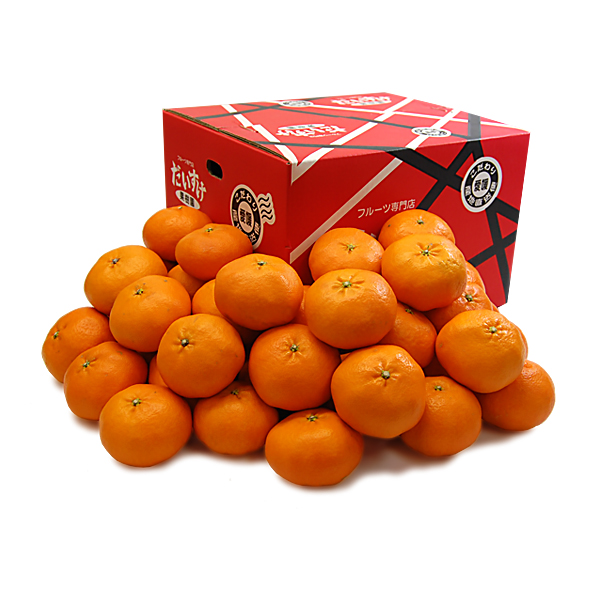 甘平（かんぺい） お得用10ｋｇ