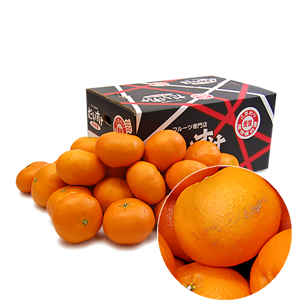 甘平（かんぺい） キズキズ君5ｋｇ