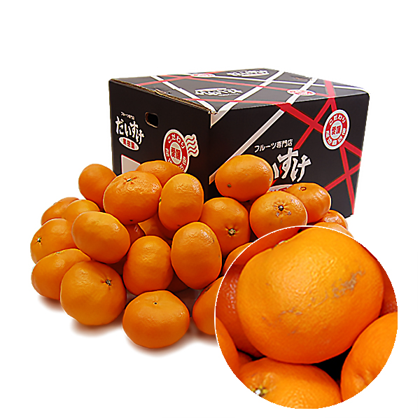 甘平（かんぺい） キズキズ君10ｋｇ