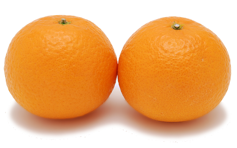 愛媛県産 清見（きよみ）