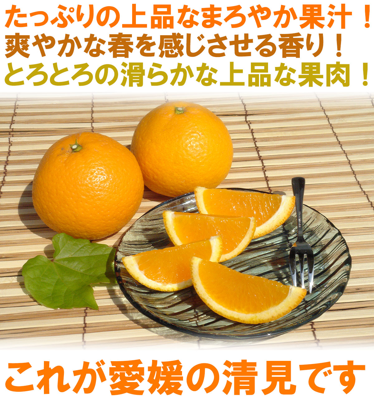 愛媛県産 清見（きよみ）