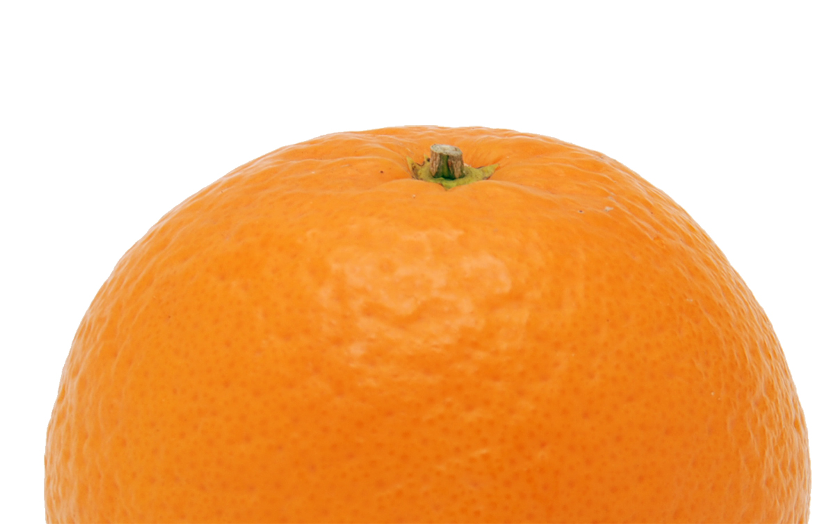 愛媛県産 清見（きよみ）