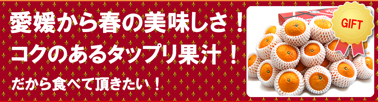 愛媛県産 清見（きよみ）