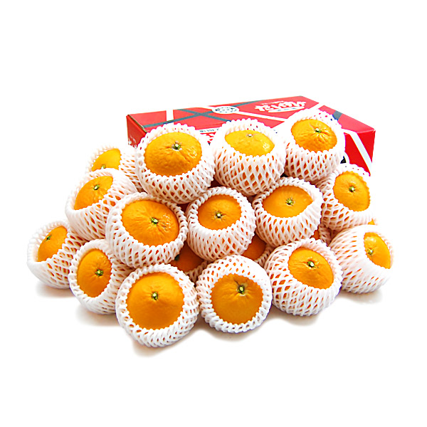 清見（きよみ） ギフト用5ｋｇ