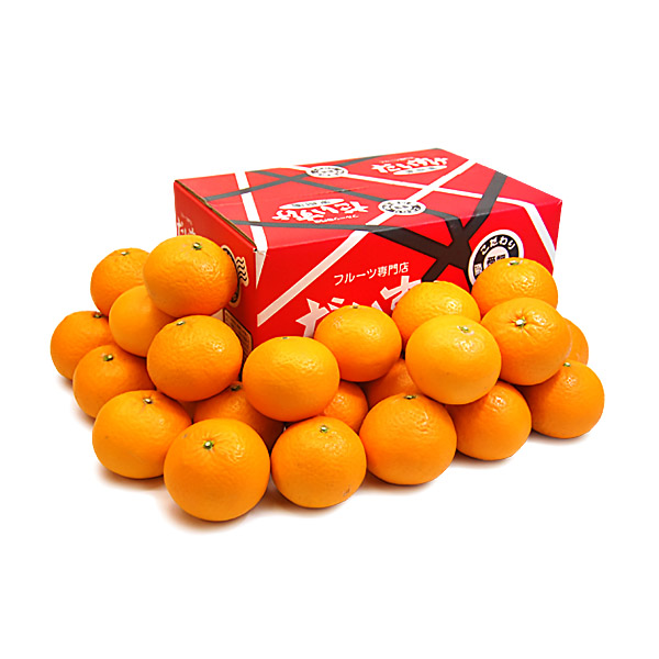 清見（きよみ） お得用5ｋｇ