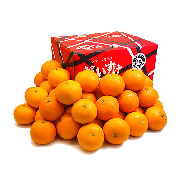 清見（きよみ） お得用10ｋｇ