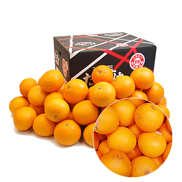 清見（きよみ）　キズキズ君10ｋｇ