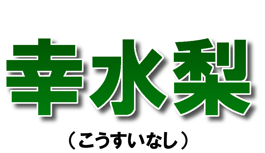 愛媛県産 幸水梨（こうすいなし）