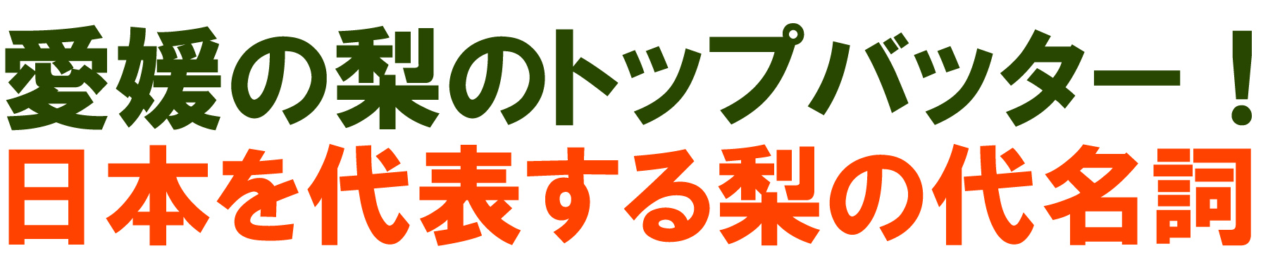 愛媛県産 幸水梨（こうすいなし）