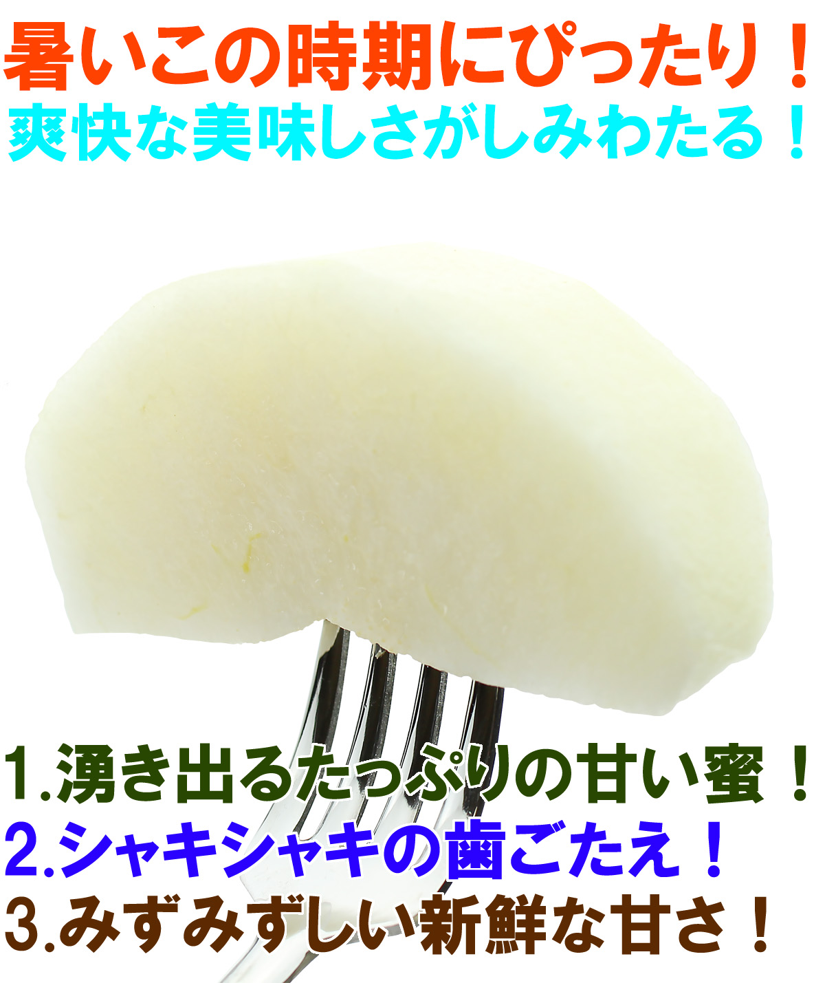 愛媛県産 幸水梨（こうすいなし）