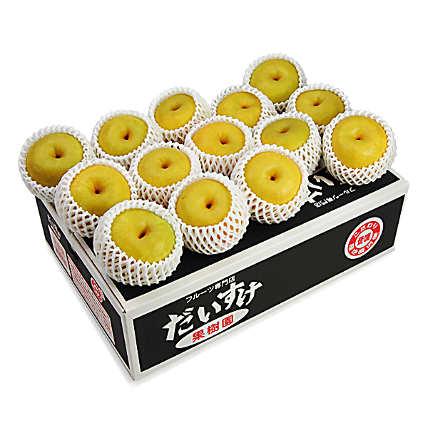 幸水梨（こうすいなし） お得用5ｋｇ