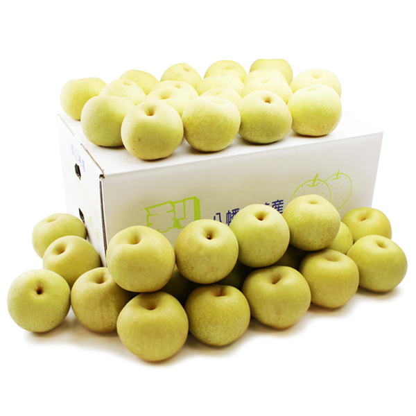 幸水梨（こうすいなし）こつぶ君10ｋｇ