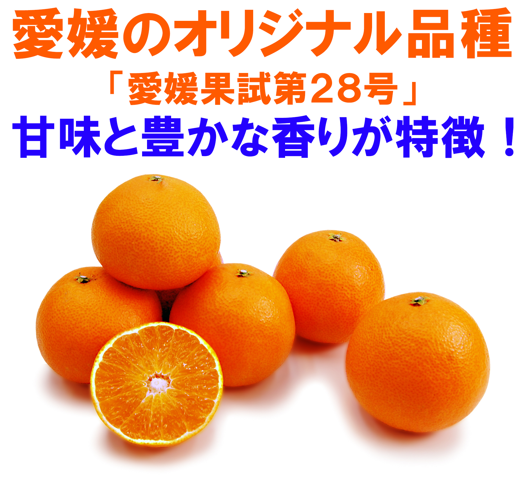 愛媛県産　媛まどんな