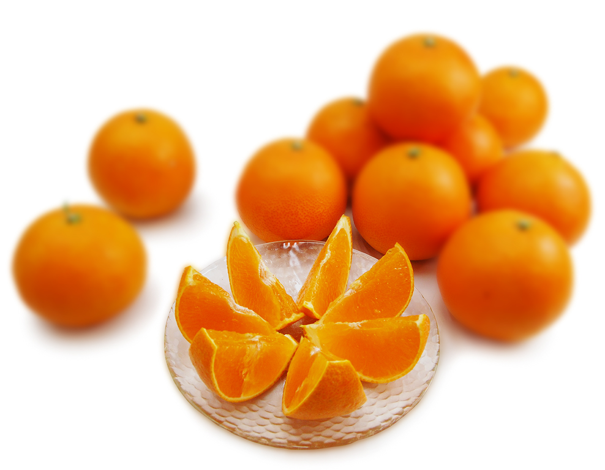 愛媛県産　媛まどんな