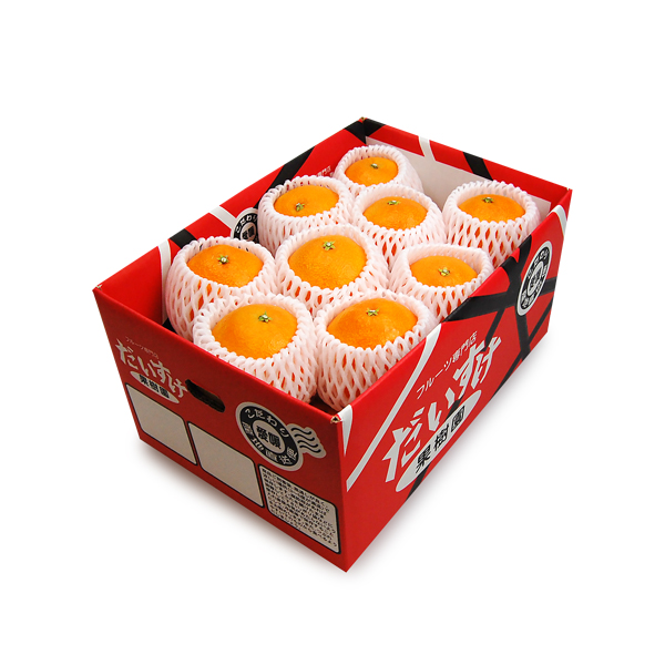 紅まどんな ギフト用10ｋｇ