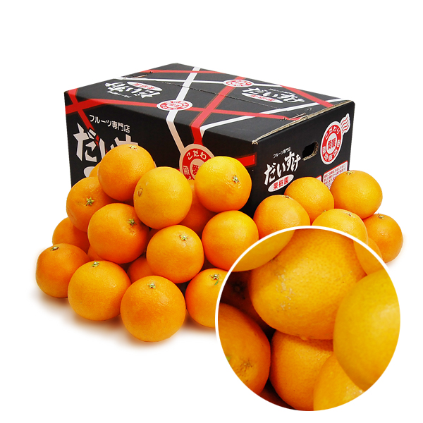 紅まどんな キズキズ君5ｋｇ