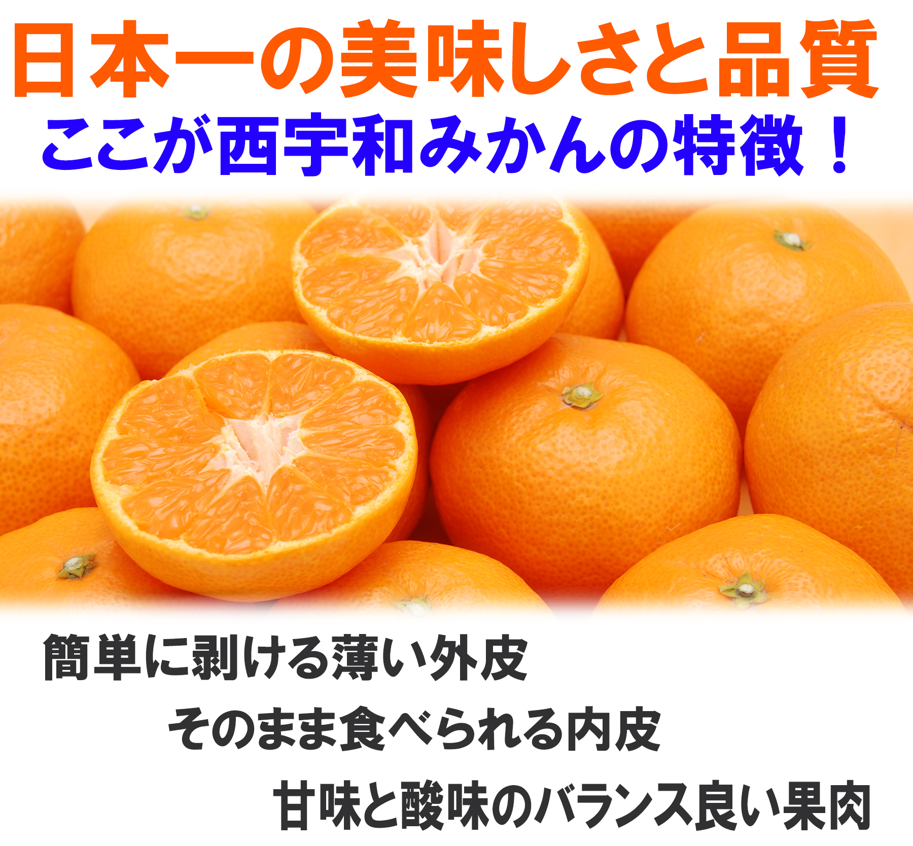愛媛県産　愛媛みかん　温州みかん