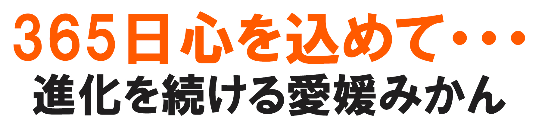 愛媛県産　愛媛みかん　温州みかん