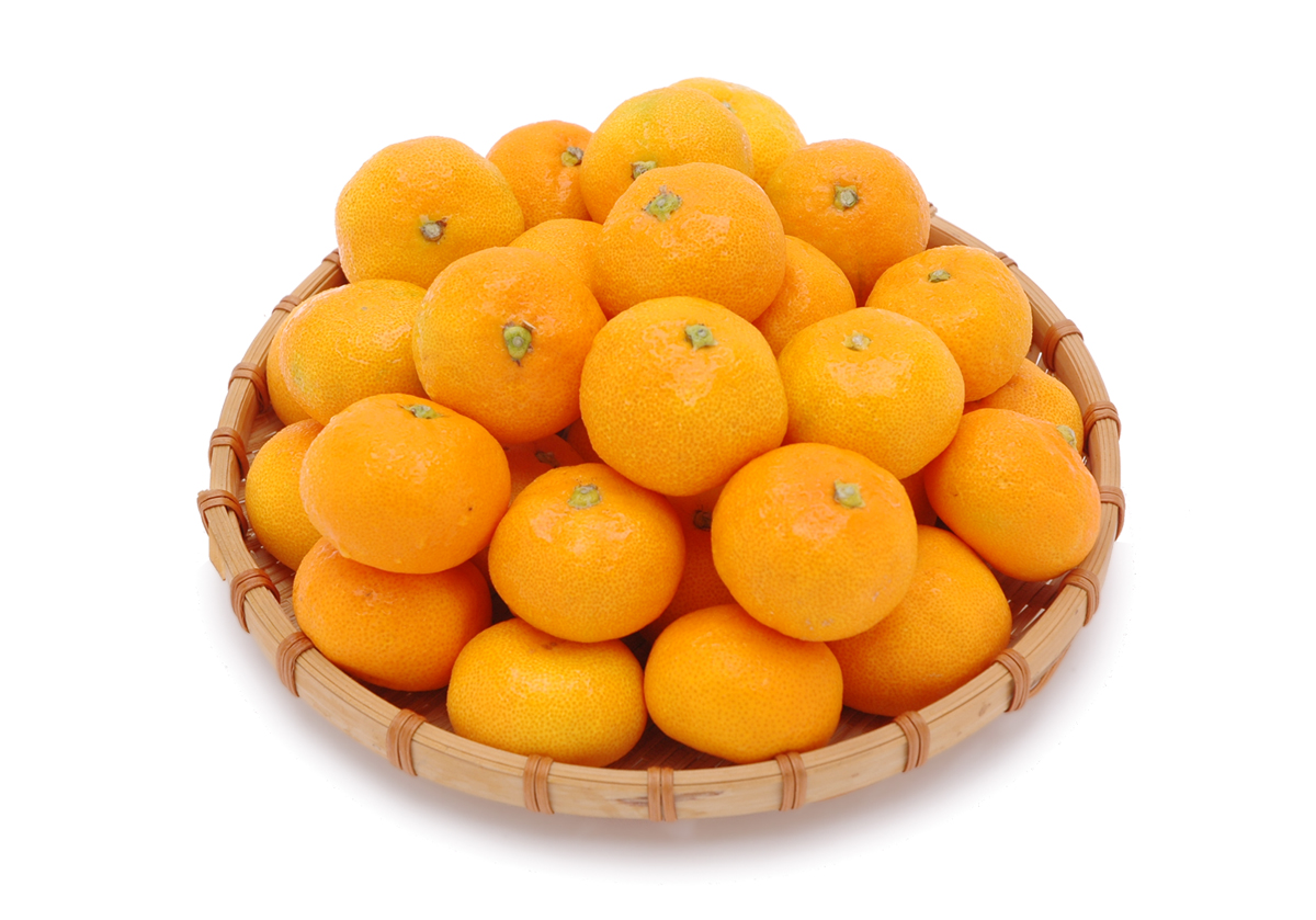 愛媛県産　愛媛みかん　温州みかん