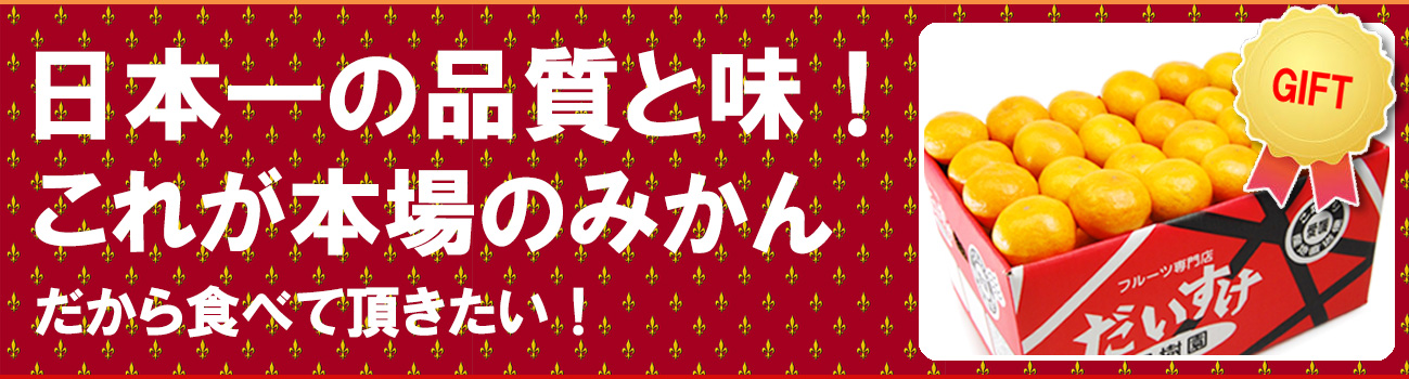 愛媛県産　愛媛みかん　温州みかん