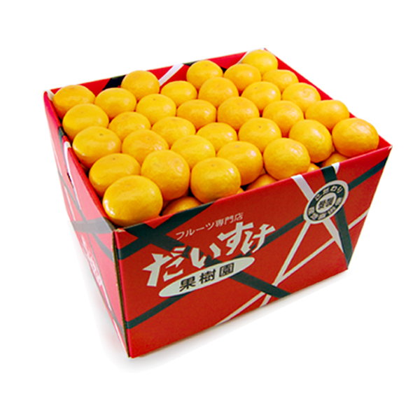 愛媛みかん ギフト用10ｋｇ