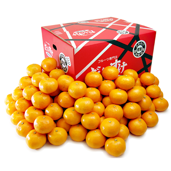 愛媛みかん お得用10ｋｇ