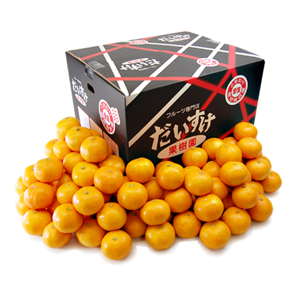 愛媛みかん こつぶ君10ｋｇ